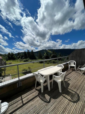 Vue sur pistes de ski appartement Gouttridos